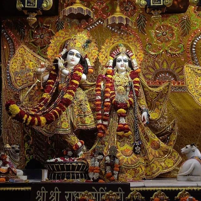 Radha rani🚩♥️